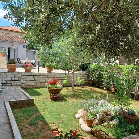 Σπίτι διακοπών House Dorina