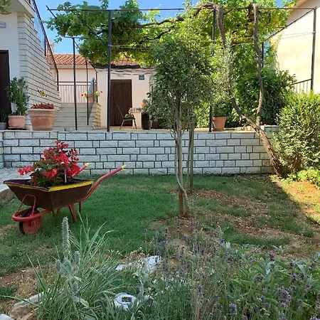House Dorina