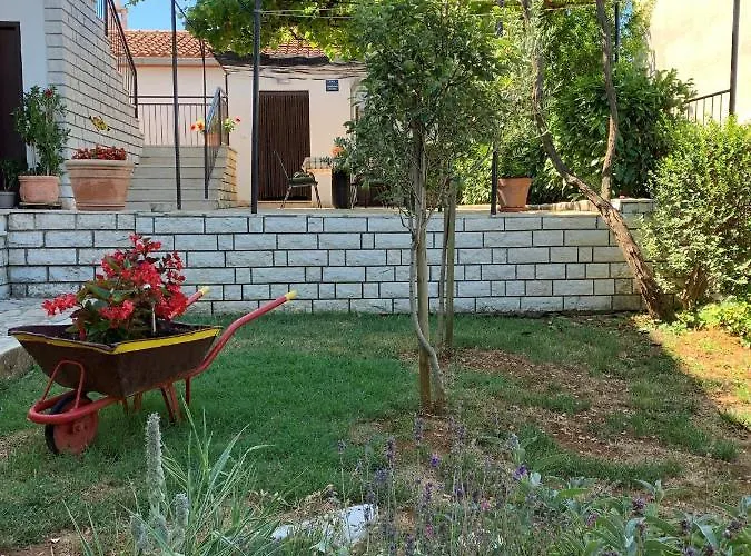 House Dorina